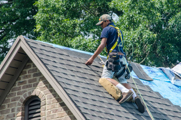 Best Roof Gutter Cleaning  in Loudoun Lley Estates, VA